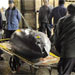 گرانقیمت ترین ماهی تن جهان به قیمت چهارصد هزار دلار در یک حراجی در پایتخت ژاپن فروخته شد.

