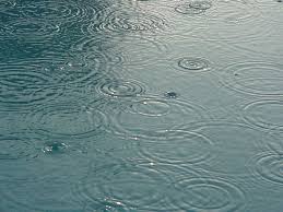مدیرکل پیش بینی و هشدار سریع سازمان هوا شناسی از بارش پراکنده باران در شمال غرب شمال شرق و جنوب شرق کشور طی سه روز آینده خبر داد.