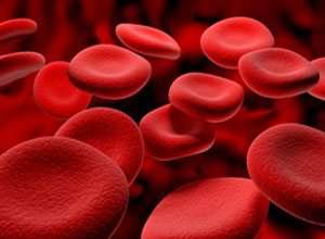 نخستین بار در جهان ، پژوهشگران کشورمان موفق شدند داروی گیاهی انعقاد سریع خون را در کشور تولید کنند.