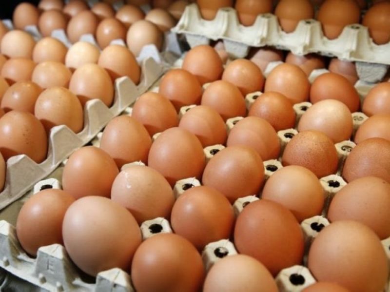 بحران تخم مرغ های آلوده به سم «فیپرونیل» (fipronil) که سرمنشاء آن هلند اعلام شد و بحران ناشی از آن 15 کشور اروپایی را درگیر کرد؛ اینک مرزهای اروپا را درنوردیده و به قاره آسیا رسیده است.