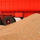 یک مقام ارشد پاکستان از توافق ایران و پاکستان برای مبادله پایاپای یک میلیون تن گندم با قیمت بیش از ۳۰۰ دلار در هر تن خبر داد.