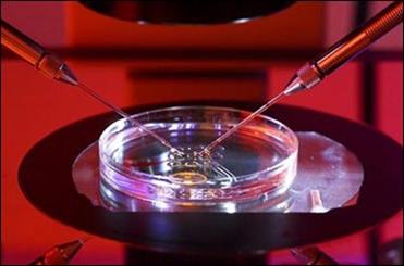 پژوهشگران دانشگاه‌های تهران و شهید بهشتی موفق به کشف یک قطعه جدید بر پایه یک مکانیزم الکتریکی نوین شدند که قادر به تشخیص سریع درجه سرطانی بودن سلول‌های یک بافت با دقت تک سلولی شدند.