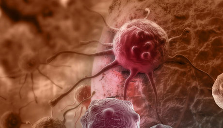 محققان واحد علوم و تحقیقات در قالب پایان‌نامه به کمپلکس نانو دارویی دست یافتند که قادر به توقف رشد سلول‌های سرطانی و با کاهش عوارض دارویی است.
