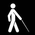 دومین همایش توانبخشی در نابینایی به مناسبت 23 مهر روزجهانی نابینایان و عصای سفید در تهران آغاز شد