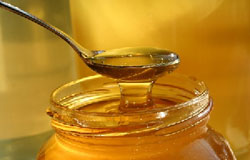 عسل به دلیل خاصیت ضد میکروبی که دارد خوراکی پر خاصیت است که باعث عضله سازی بدن شده و از استهلاک و شل شدن بافت بدن جلوگیری می‌کند.