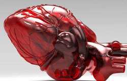 محققان آمریکایی در حال توسعه نسل جدید چاپگر سه بعدی هستند که امکان تولید یک قلب کامل برای بیماران نیازمند پیوند را فراهم می کند.