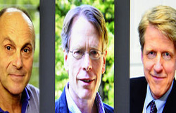 جایزه Sveriges Riksbank در علوم اقتصاد که به یادبود آلفرد نوبل اعطا می شود، امسال بین سه دانشمند آمریکایی تقسیم می شود.
