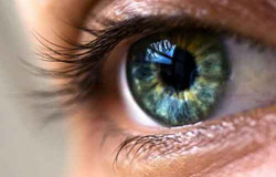 تطبیق دادن چشم برای دیدن اشیا در فواصل مختلف از وظایف عدسی چشم است.