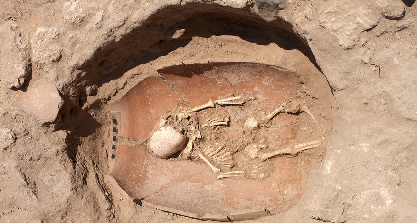 باستان شناسان آلمانی با بررسی دی ان ای به دست آمده از ۱۰ اسکلت مدفون در شهربندری اشکلون واقع در سرزمین‌های اشغالی، خاستگاه فلسطینیان باستان را تعیین کردند.