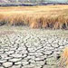 خشکسالی یک ششم از روستاهای خراسان رضوی را تهدید می کند.

