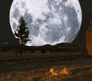 
  
  
  
زمانی رسید که سگ از نالیدن خسته شد، اما ماه همچنان ظاهر می شد.

